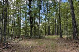 17.8 Acres-5871 Pennyroyal Rd.  photo 4