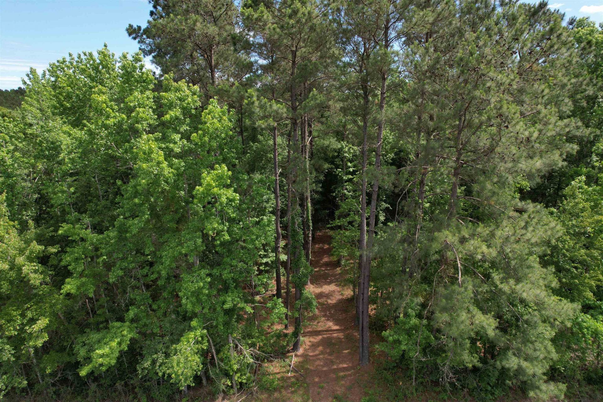 17.8 Acres-5871 Pennyroyal Rd.  Photo 6