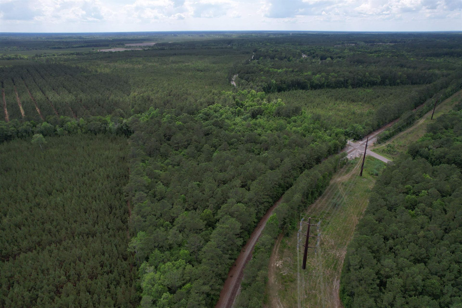 17.8 Acres-5871 Pennyroyal Rd.  Photo 7
