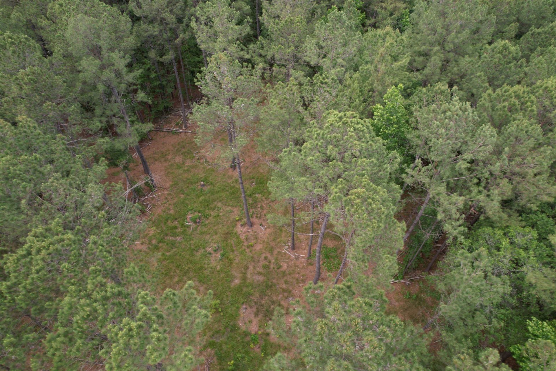 17.8 Acres-5871 Pennyroyal Rd.  Photo 9