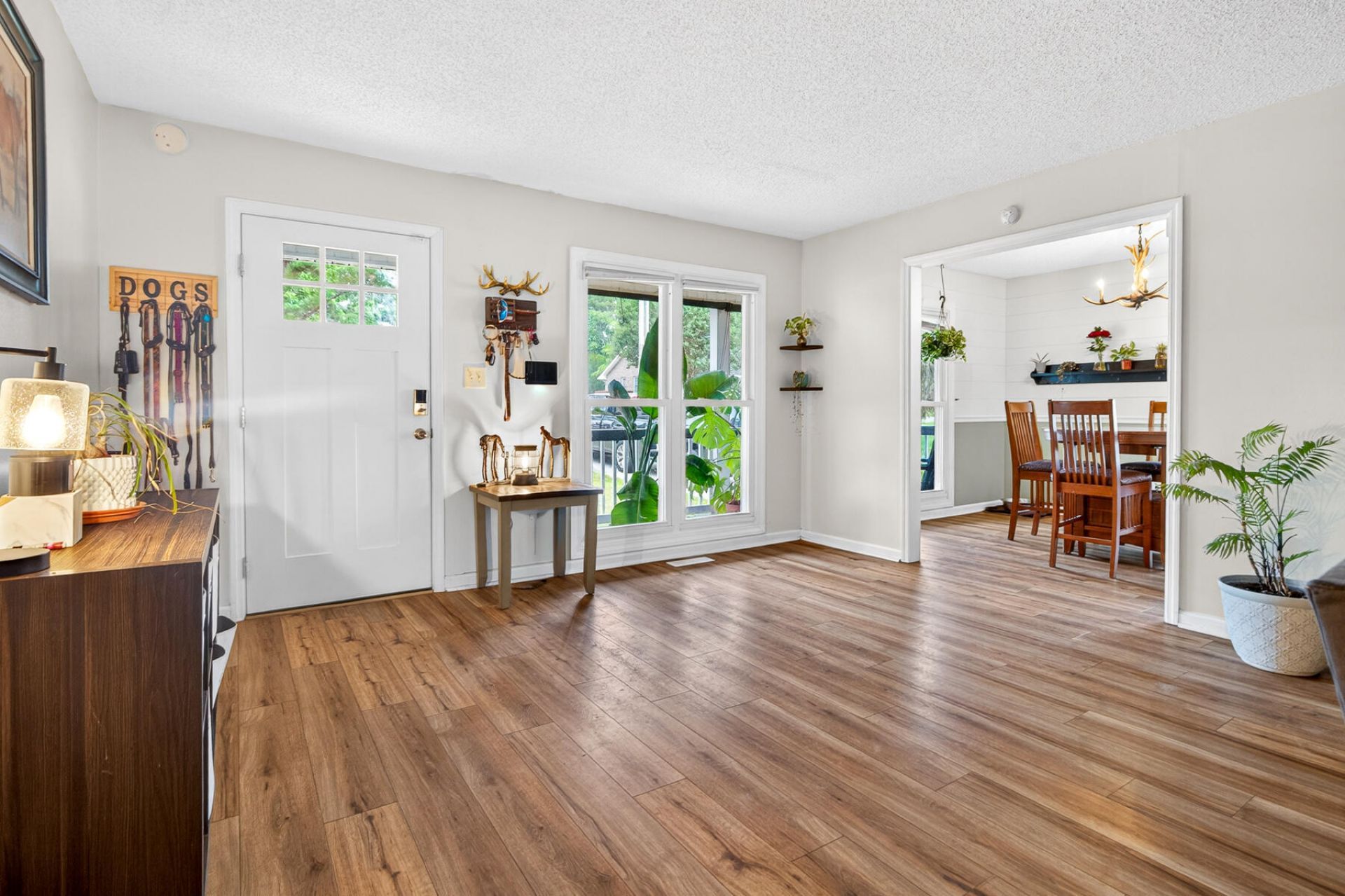 213 Elm Street Photo 7