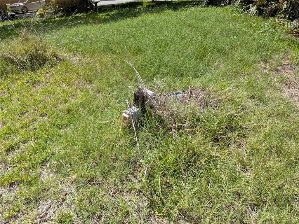 17191 Frank Rd, Alva, FL 33920 Photo