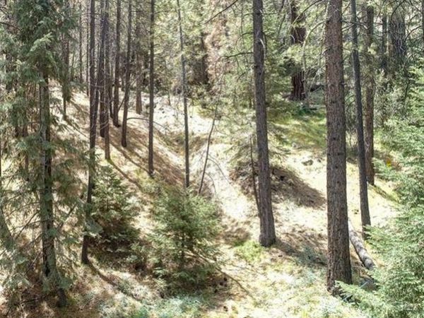 1316 Zermatt Court, Pine Mountain Club, CA 93222