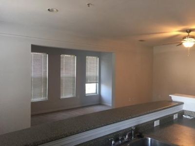 2322 Egret Crest Lane Photo 6