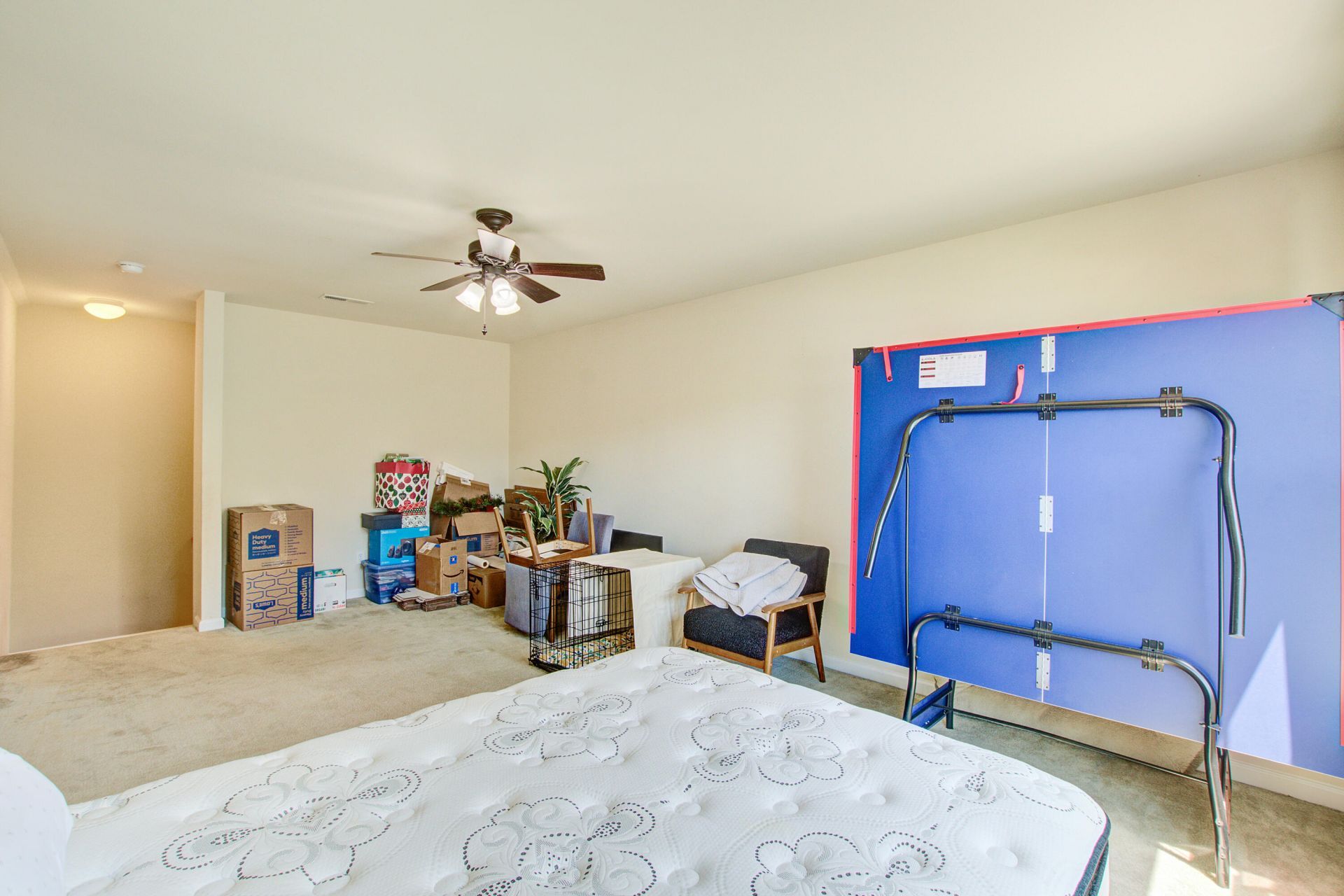 3134 Gallberry Street Photo 34