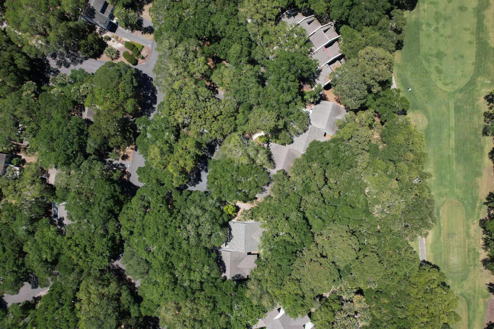 624 Double Eagle Trace Photo 50