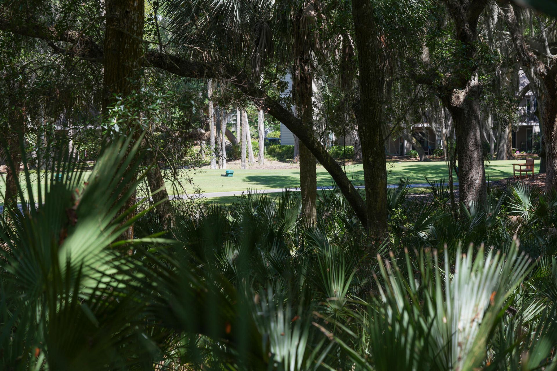624 Double Eagle Trace Photo 9