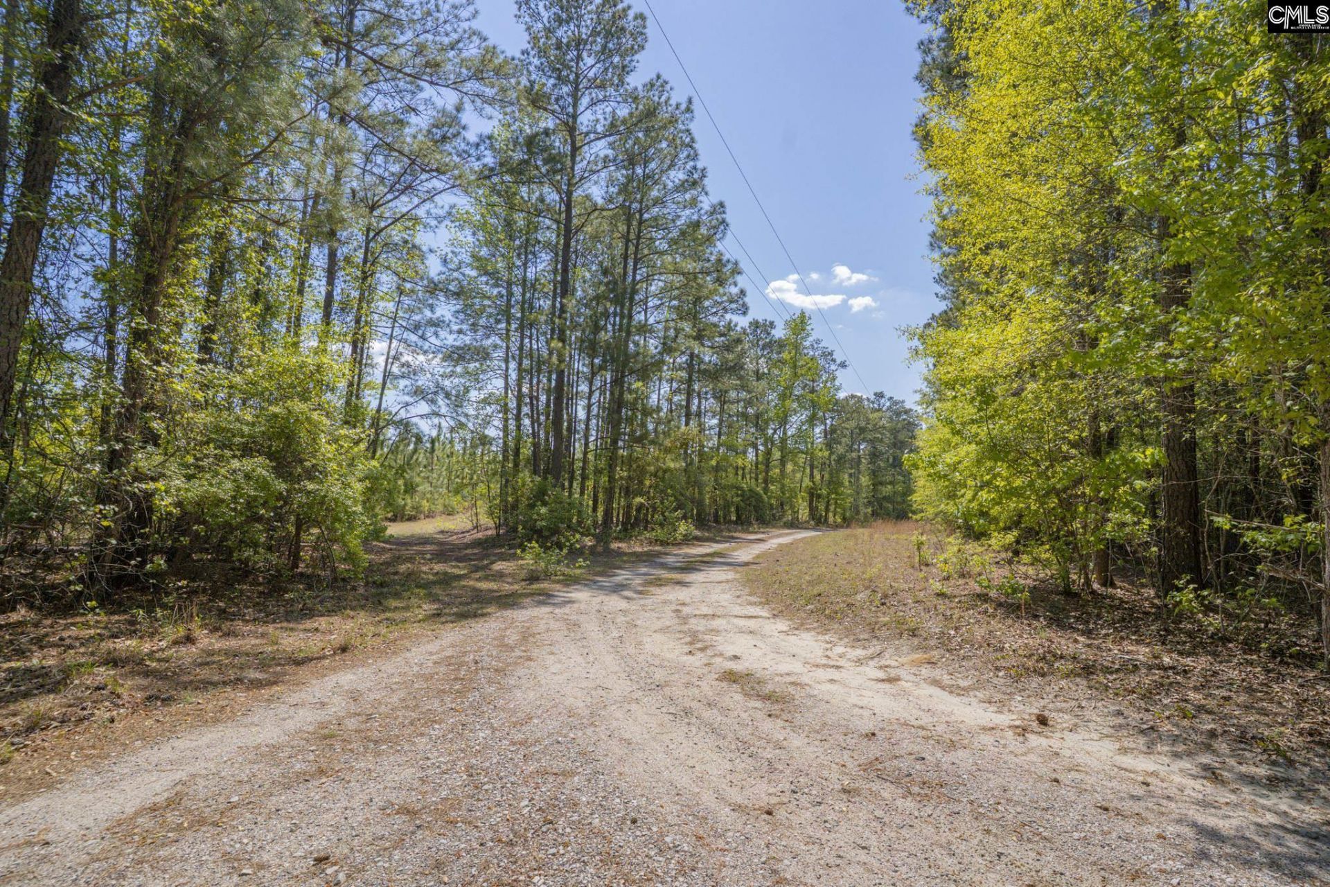 122 E Lonesome Pine Trail  Photo 4