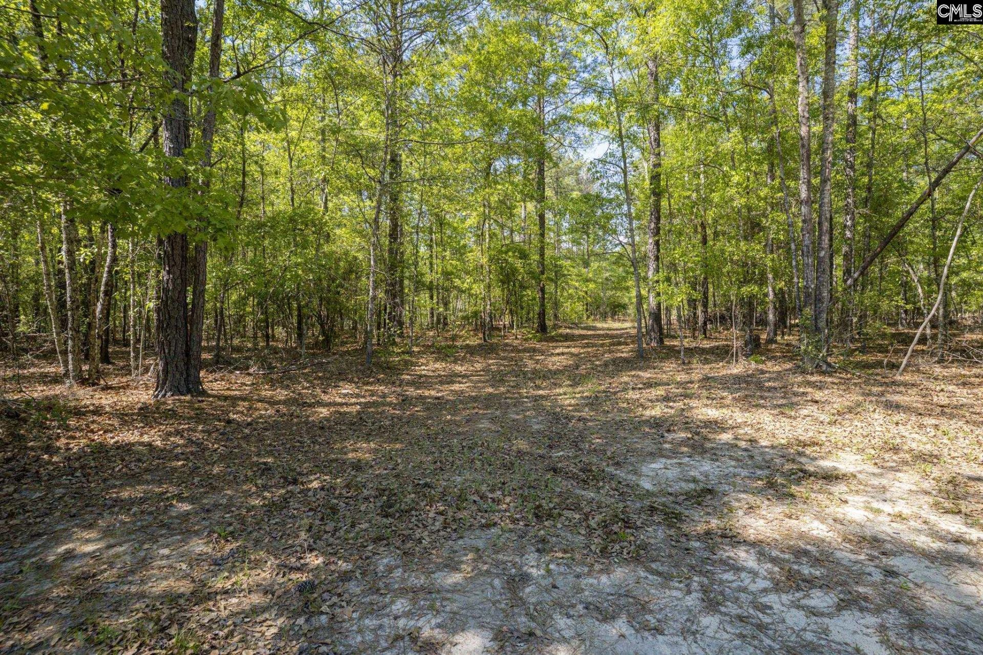 122 E Lonesome Pine Trail  Photo 53
