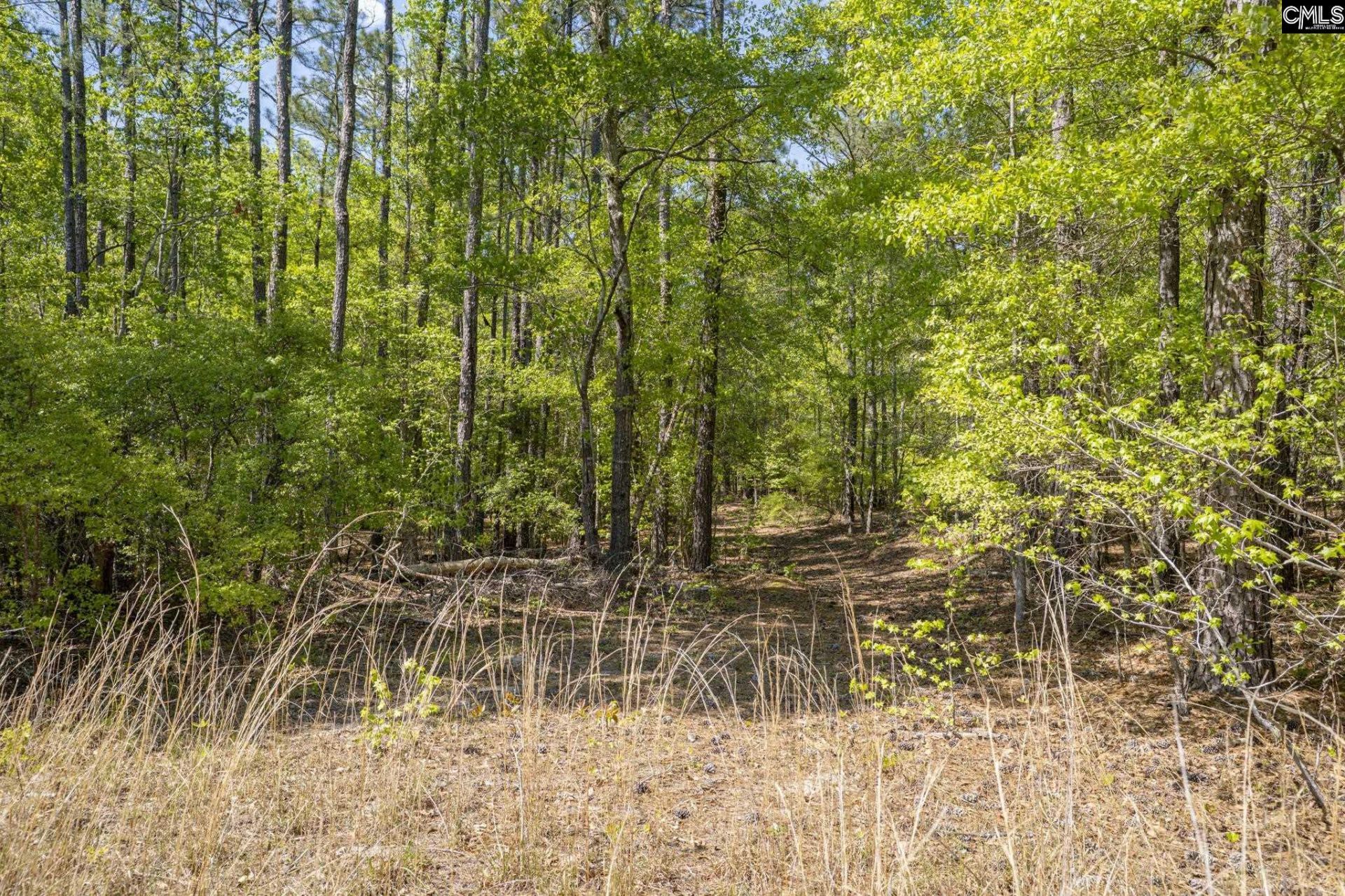 122 E Lonesome Pine Trail  Photo 55