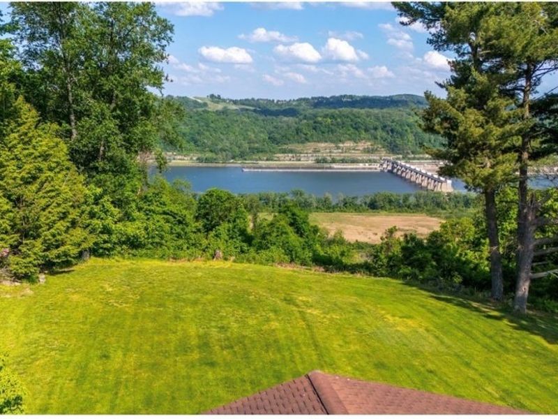 73885 Joetta Drive, Rayland, OH 43943 Photo 42