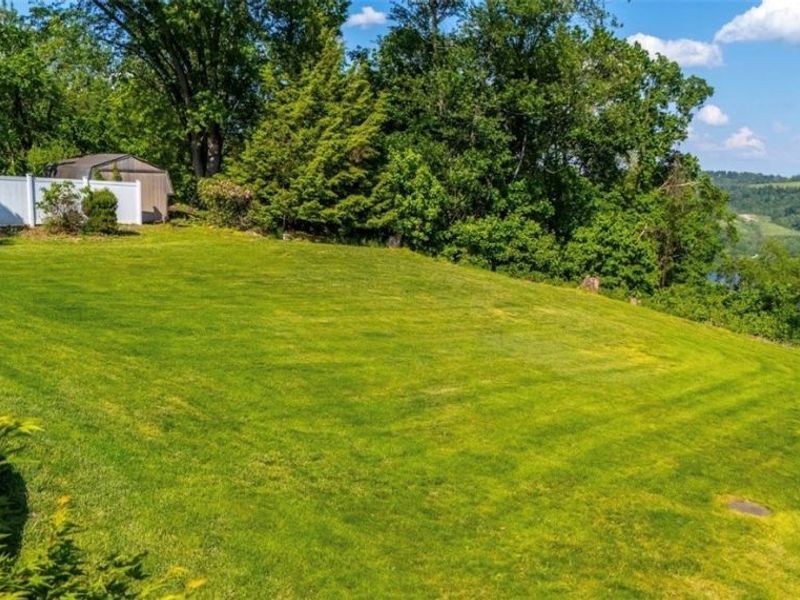 73885 Joetta Drive, Rayland, OH 43943 Photo 43