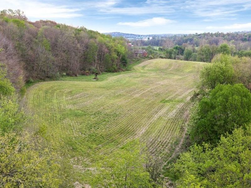 Township Road 659, Dundee, OH 44624 Photo 11