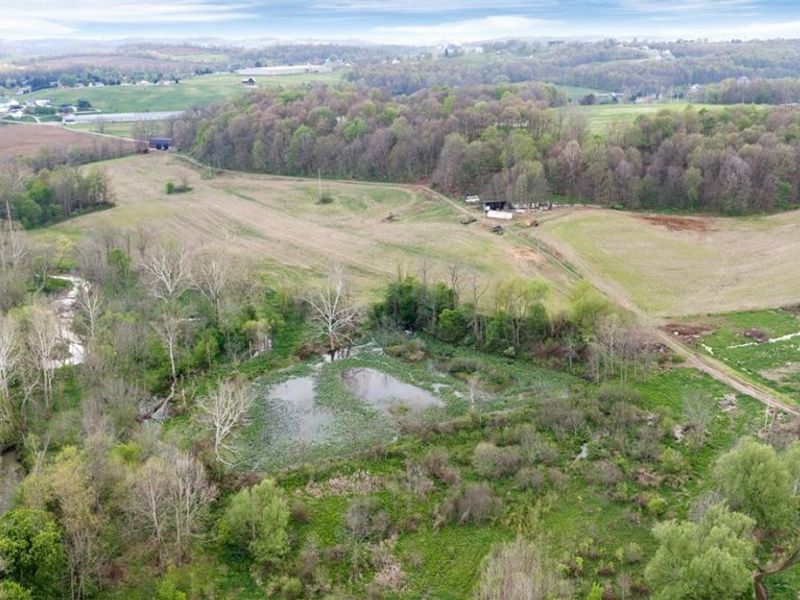 Township Road 659, Dundee, OH 44624 Photo 13