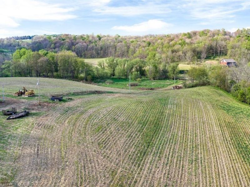 Township Road 659, Dundee, OH 44624 Photo 17