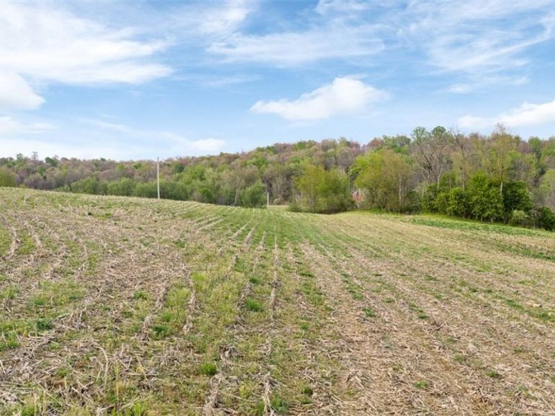 Township Road 659, Dundee, OH 44624 Photo 19