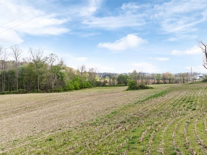 Township Road 659, Dundee, OH 44624 Photo 20