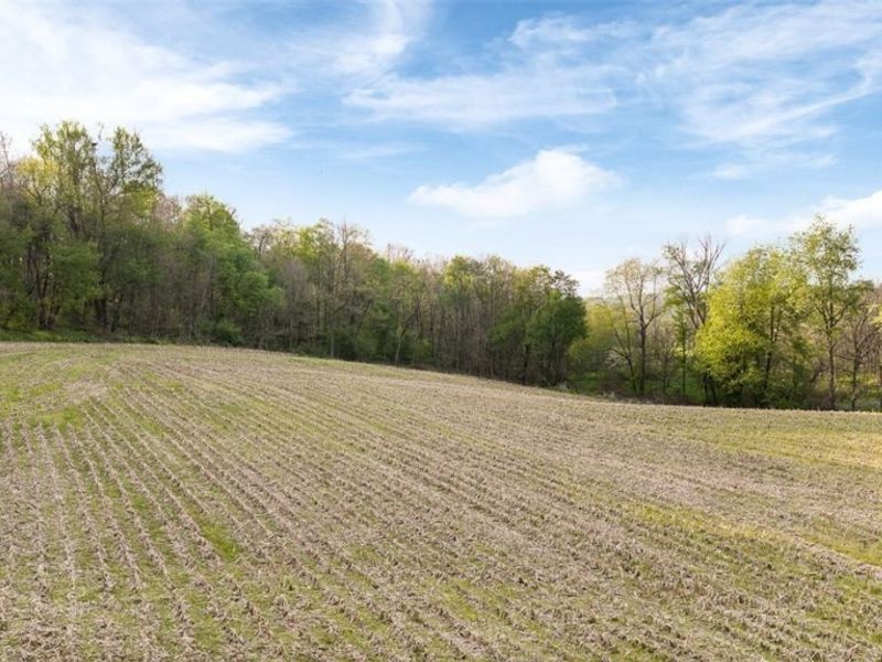 Township Road 659, Dundee, OH 44624 Photo 21