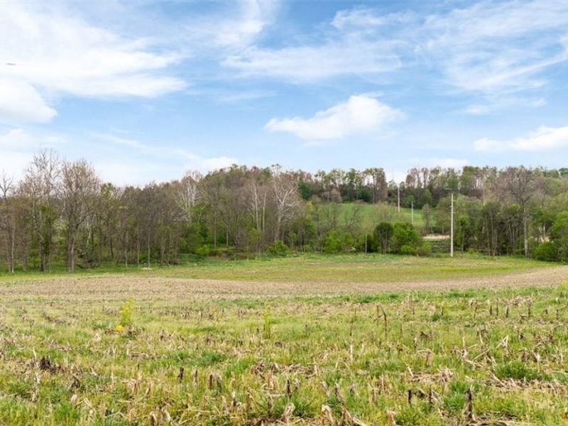 Township Road 659, Dundee, OH 44624 Photo 22