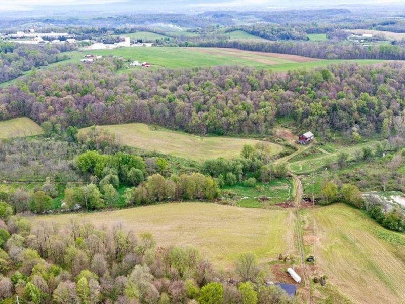 Township Road 659, Dundee, OH 44624 Photo 27