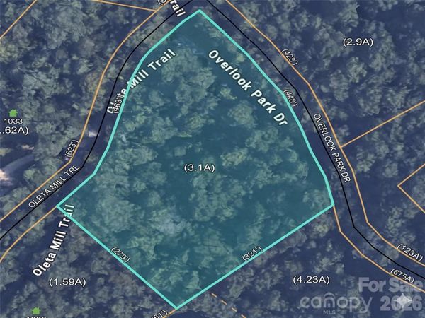 1034 Oleta Mill Trail , Hendersonville, NC 28792
