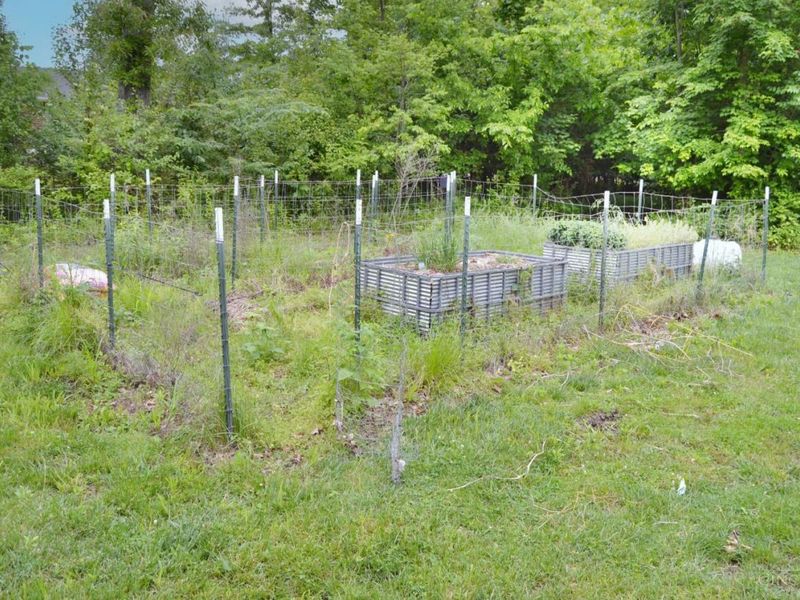 6521 Morrow Rossburg Road, Morrow, OH 45152 Photo 14
