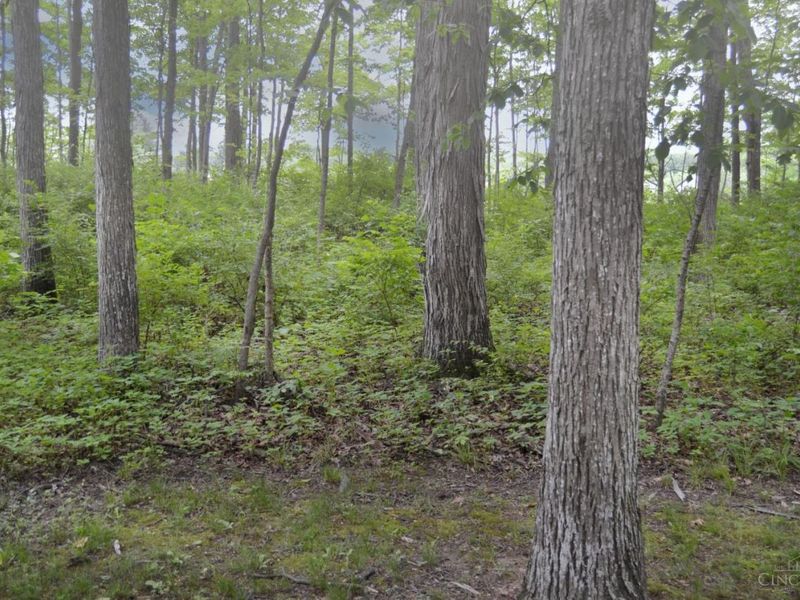 6521 Morrow Rossburg Road, Morrow, OH 45152 Photo 15