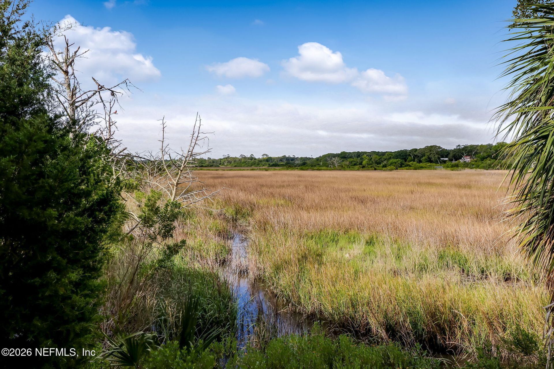 2158 Hibiscus Court, Fernandina Beach, FL 32034 Photo