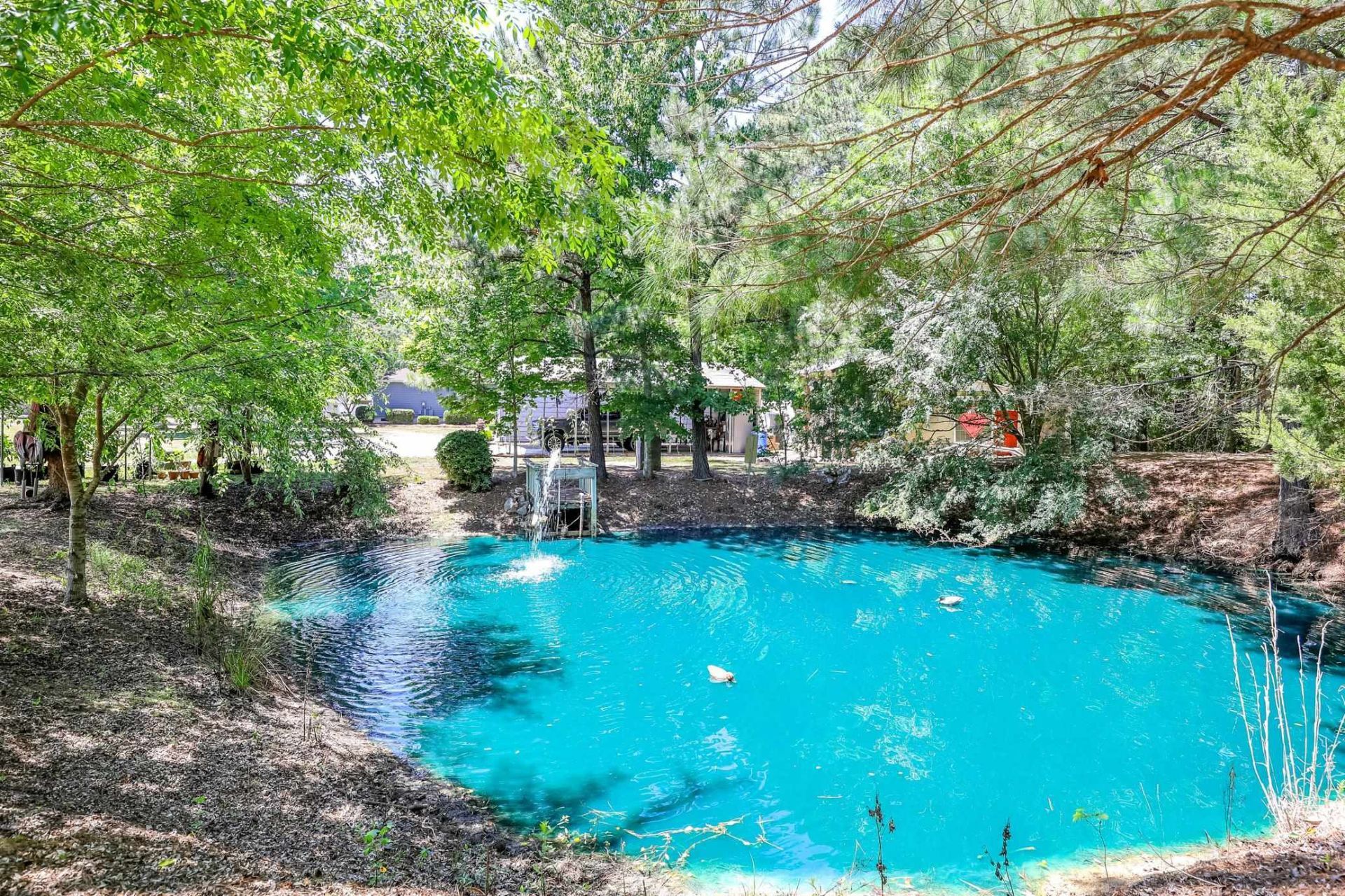323 Roughbark Dr.  Photo 32