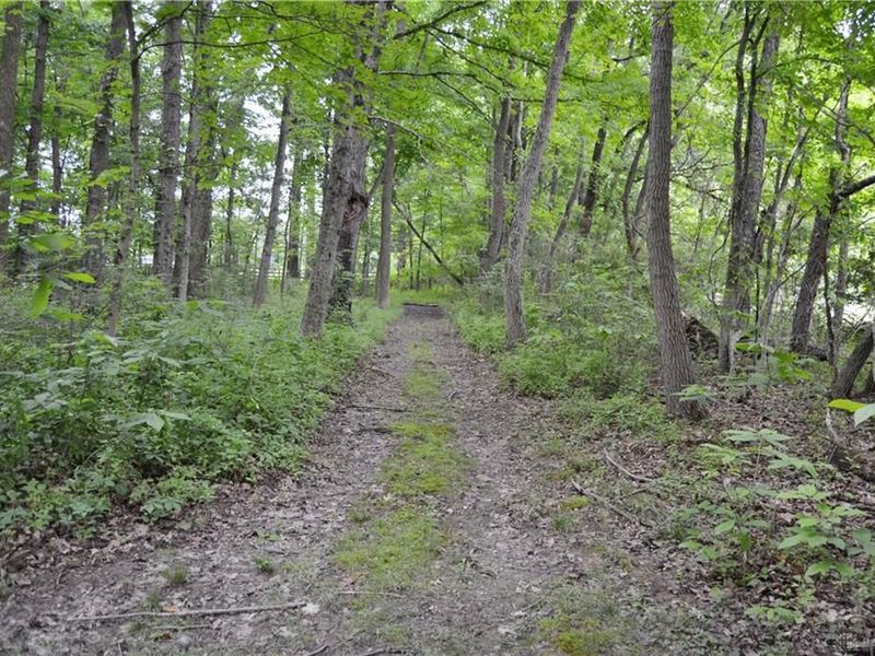 6521 Morrow Rossburg Road, Salemtwp, OH 45152 Photo 19
