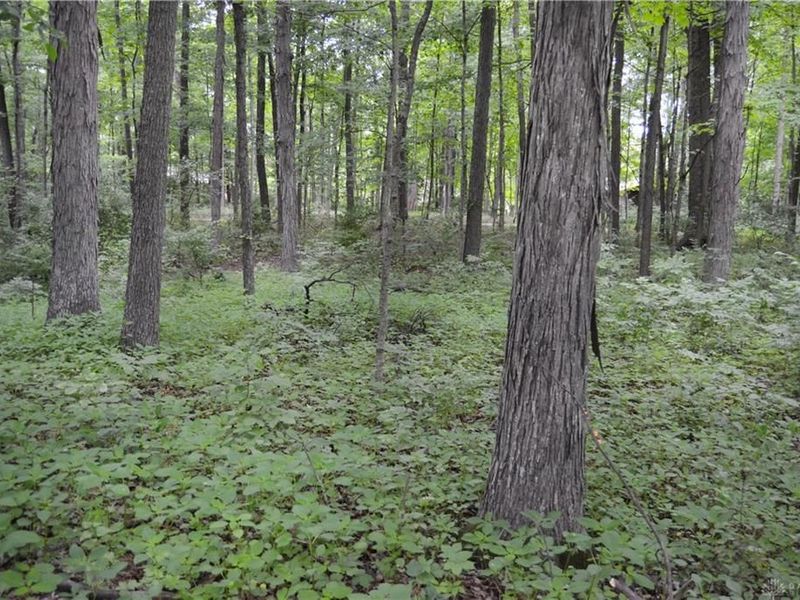 6521 Morrow Rossburg Road, Salemtwp, OH 45152 Photo 7