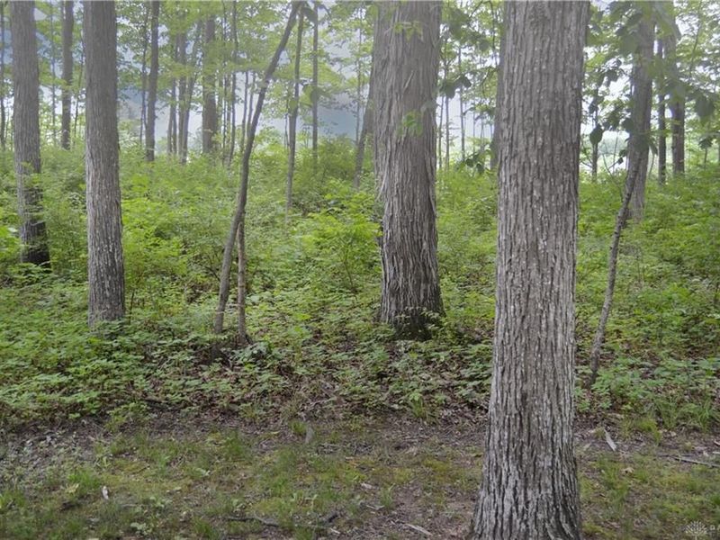 6521 Morrow Rossburg Road, Salemtwp, OH 45152 Photo 8