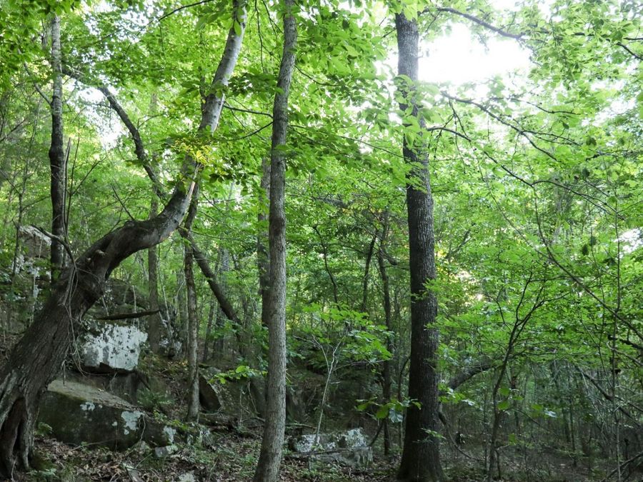 Property Image 18