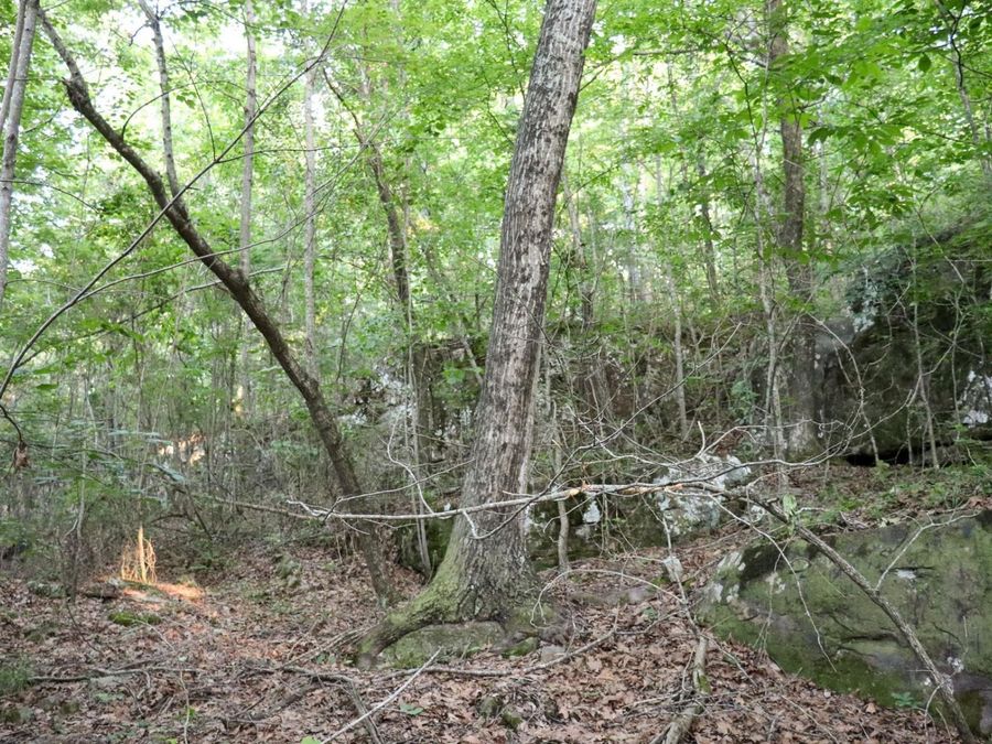 Property Image 19