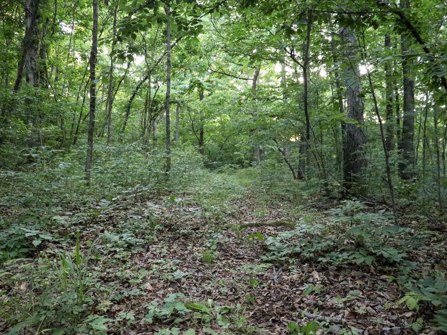 Property Image 38