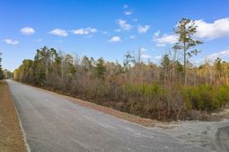 Tbd Fowler School Rd.  photo 4