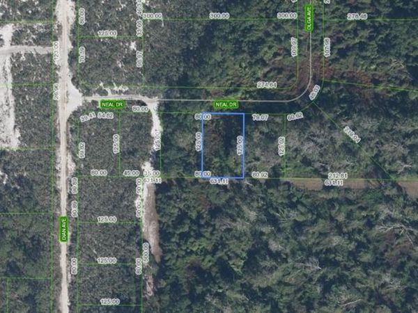 817 Neal , Sebring, FL 33875