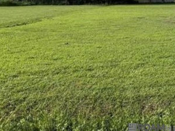 Netterville St, Baton Rouge, LA 70807