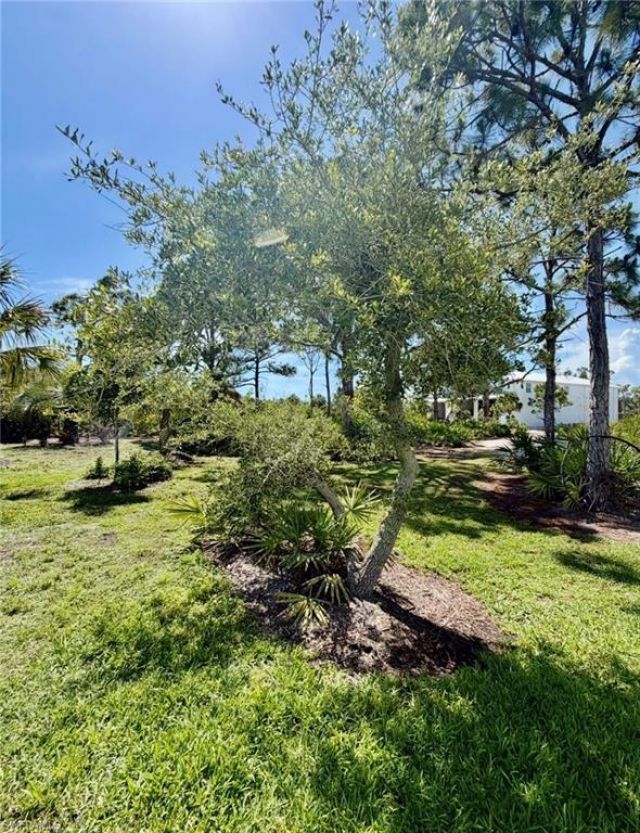 6690 Pineland Rd , Bokeelia, FL 33922 Photo