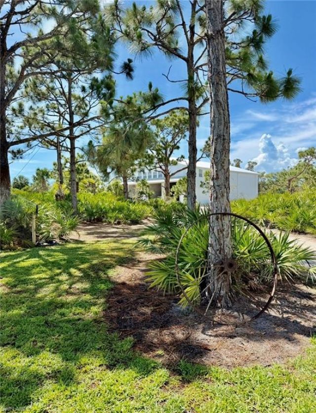 6690 Pineland Rd , Bokeelia, FL 33922 Photo