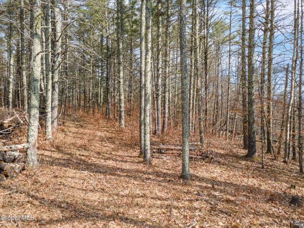 242 Tae Kwon Road, Blenheim, NY 12131