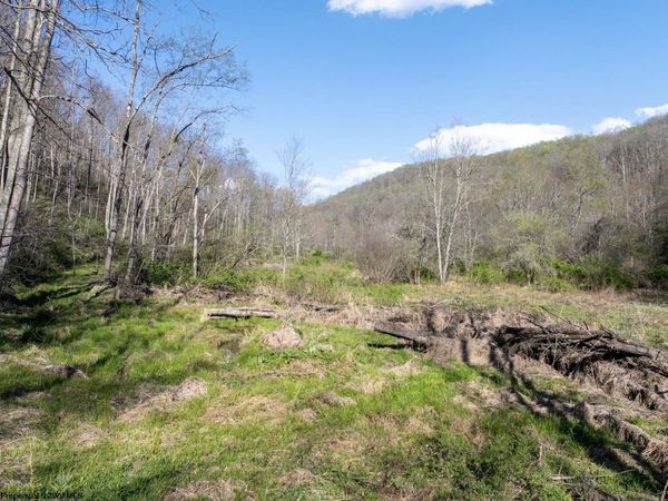 Lot 1 Squires Run Road, Reedsville, WV 26547