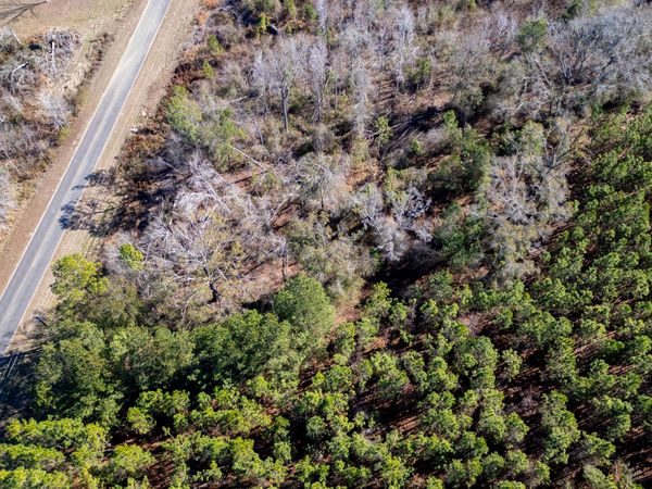 0 Shenandoah Road, Alma, GA 31510