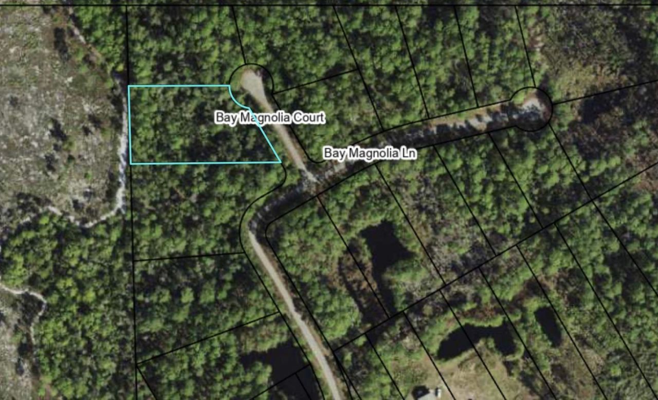 146 Bay Magnolia Court, Carrabelle, FL 32322 Photo