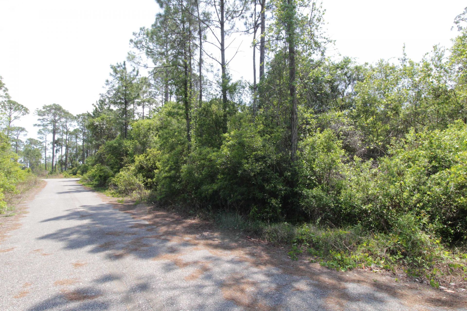 146 Bay Magnolia Court, Carrabelle, FL 32322 Photo