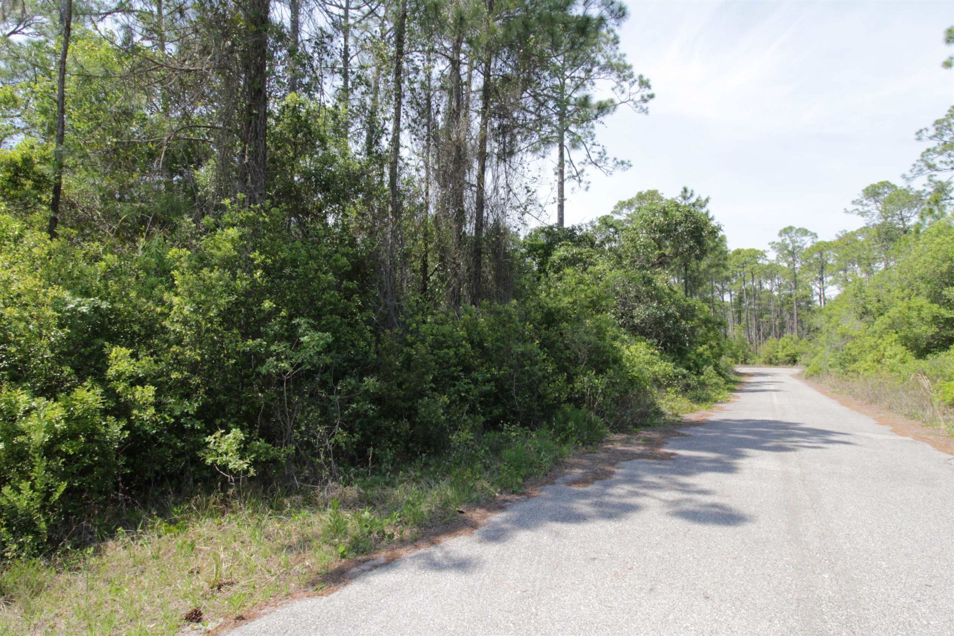 146 Bay Magnolia Court, Carrabelle, FL 32322 Photo