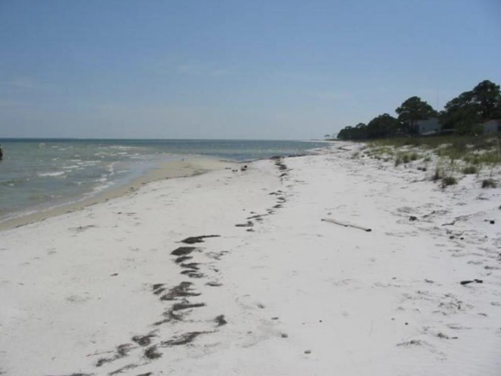 146 Bay Magnolia Court, Carrabelle, FL 32322 Photo