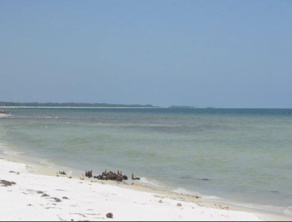146 Bay Magnolia Court, Carrabelle, FL 32322 Photo