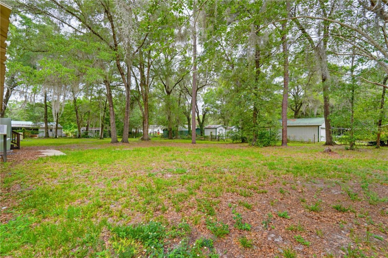 4786 SW 122nd Lane, Webster, FL 33597 Photo