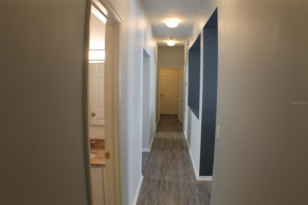2320 Spring Hollow Loop, Wesley Chapel, FL 33544 Photo